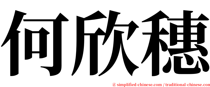 何欣穗 serif font