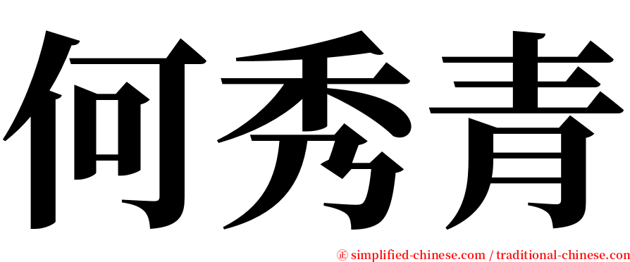何秀青 serif font