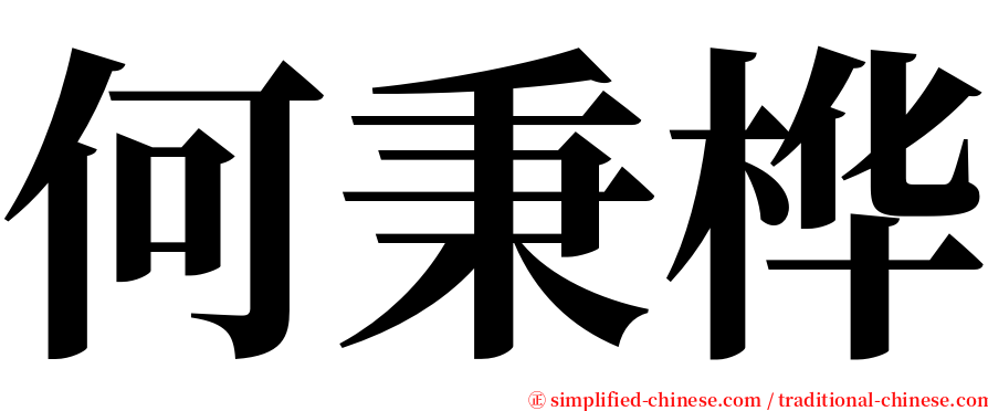 何秉桦 serif font