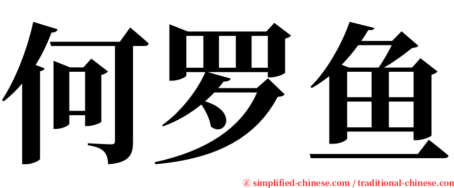 何罗鱼 serif font