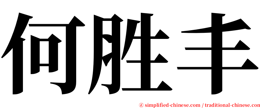 何胜丰 serif font