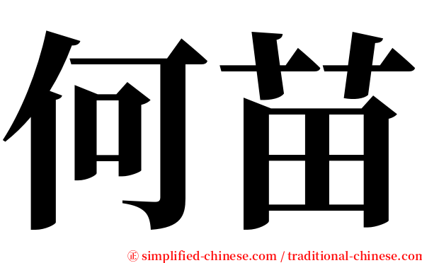 何苗 serif font