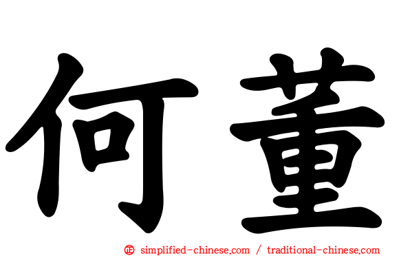 何董