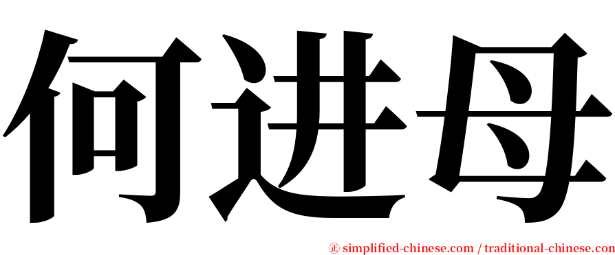 何进母 serif font