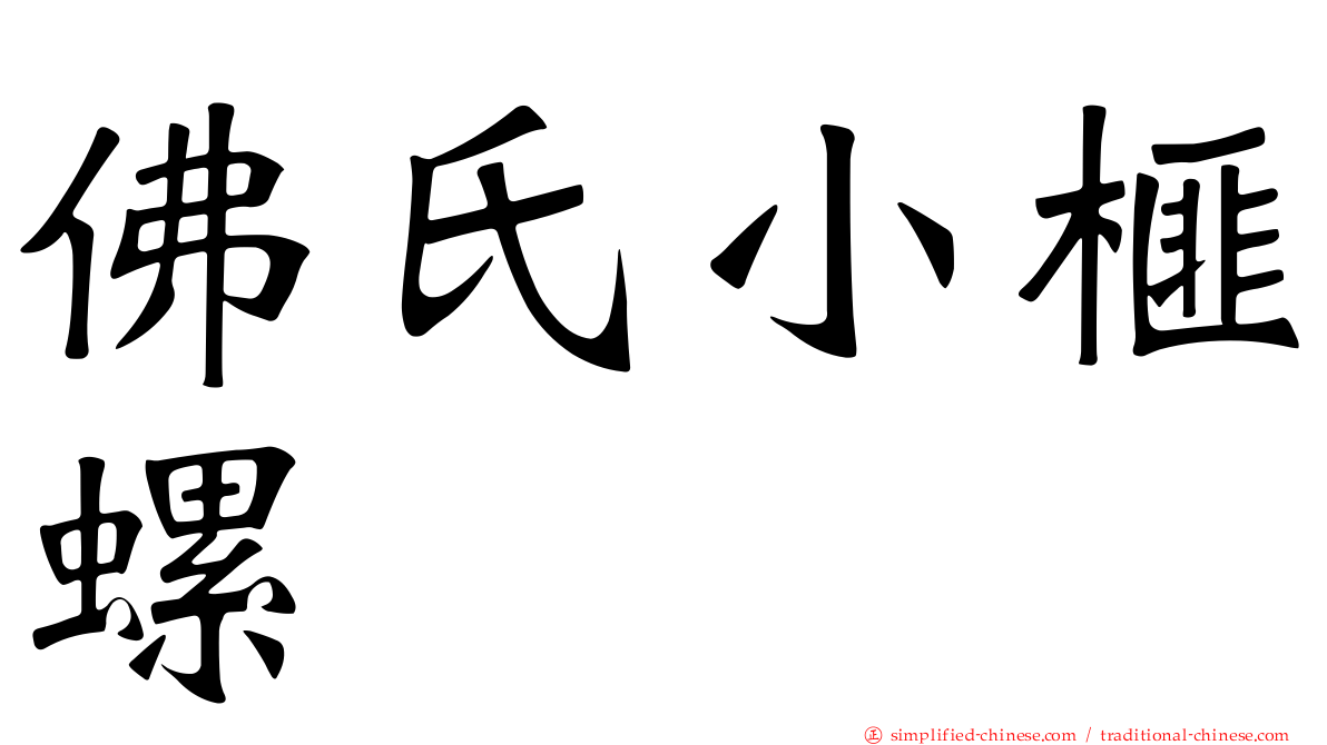 佛氏小榧螺