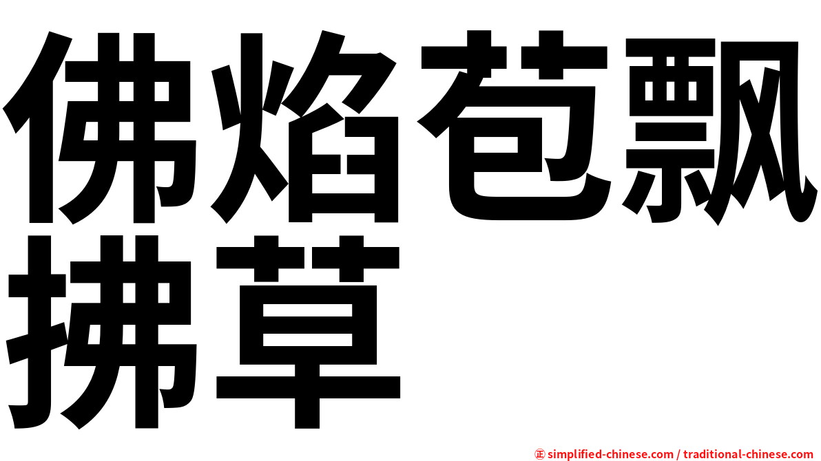 佛焰苞飘拂草