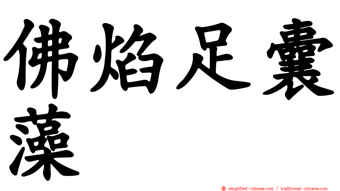 佛焰足囊藻