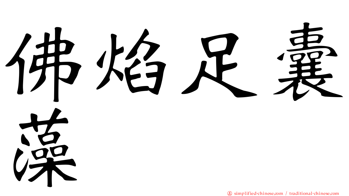 佛焰足囊藻
