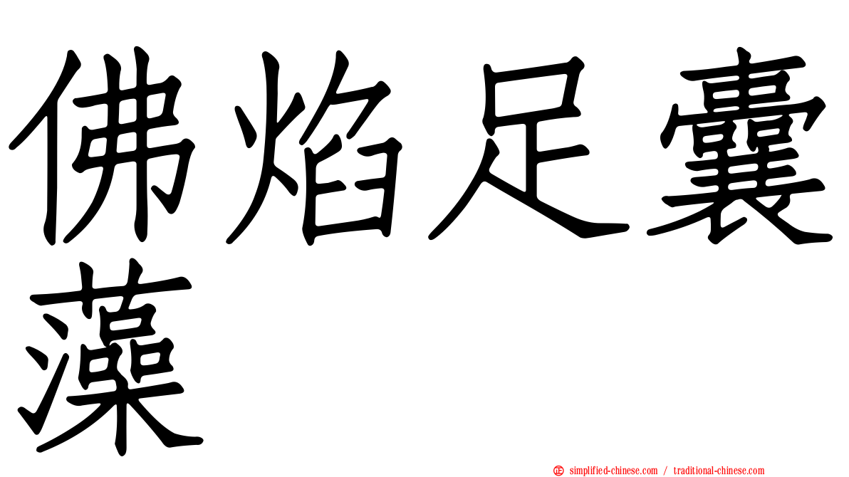 佛焰足囊藻