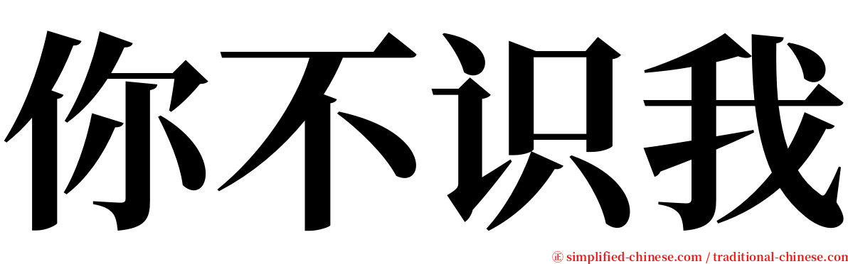 你不识我 serif font