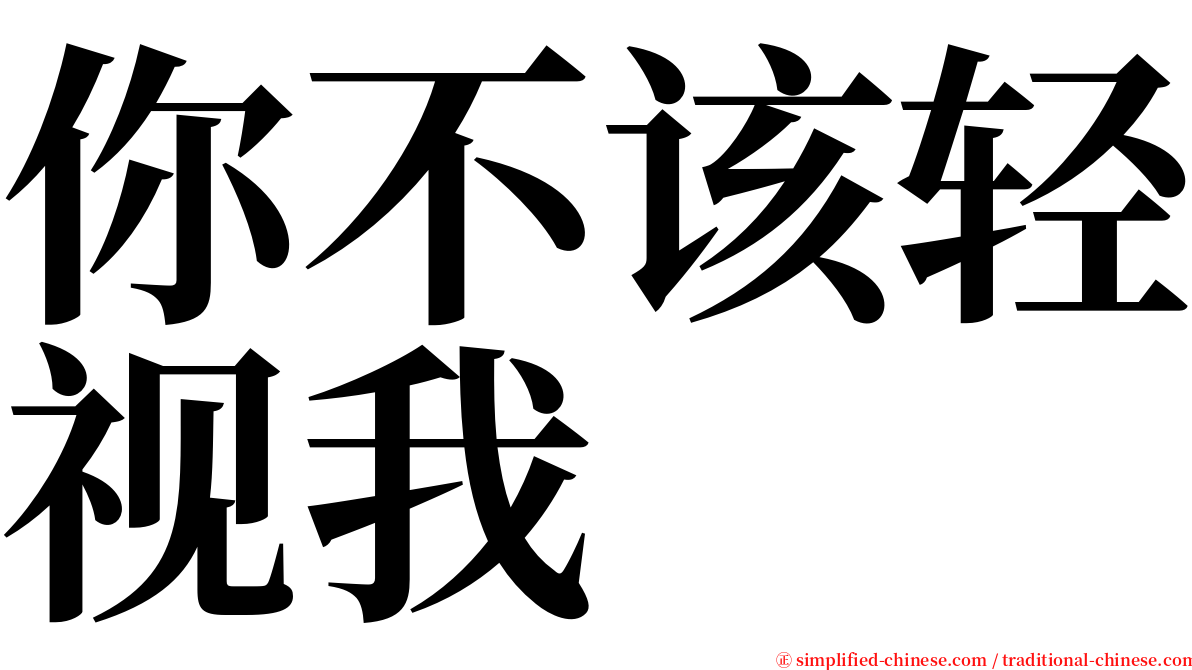 你不该轻视我 serif font