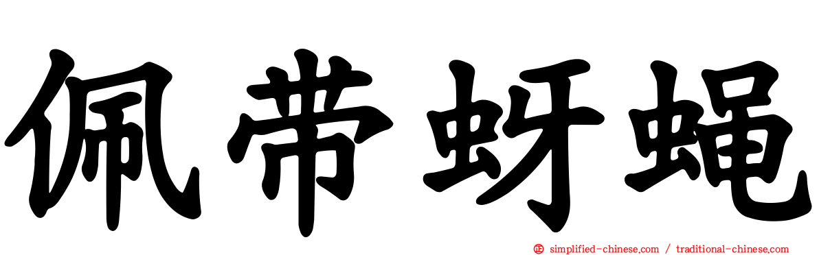 佩带蚜蝇