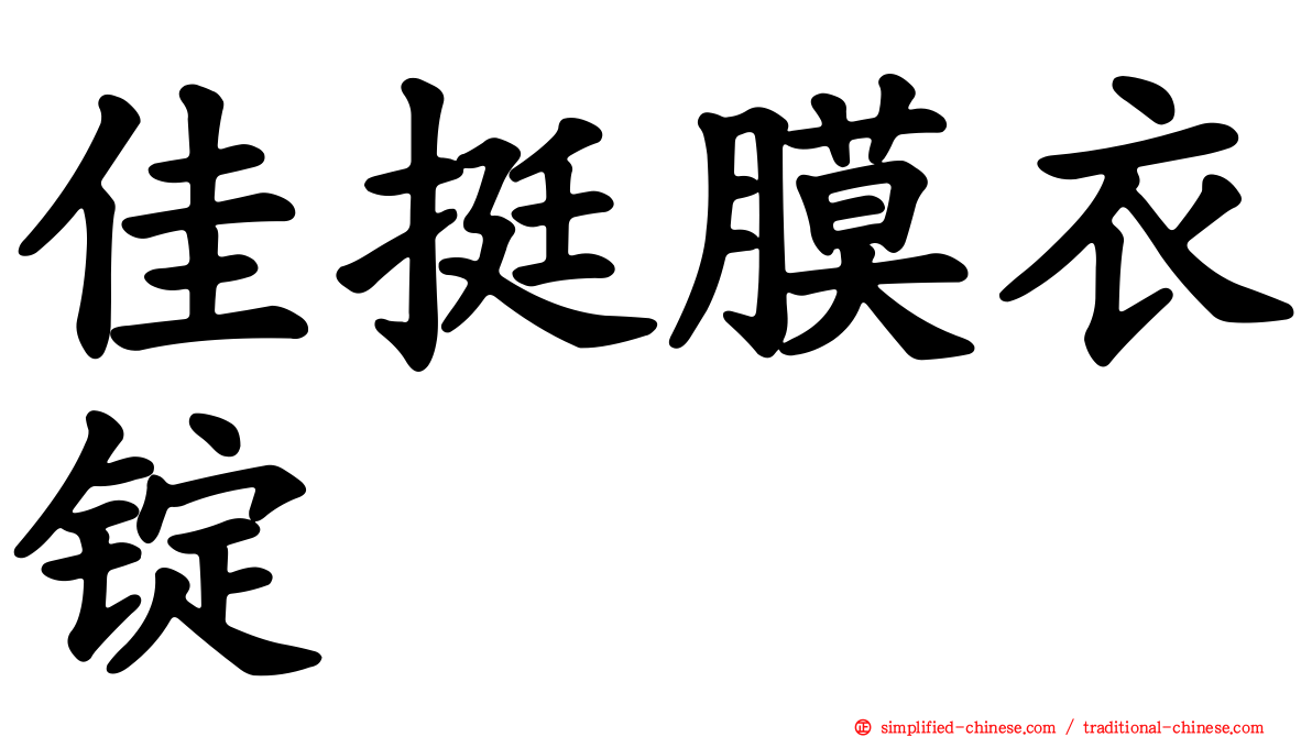 佳挺膜衣锭