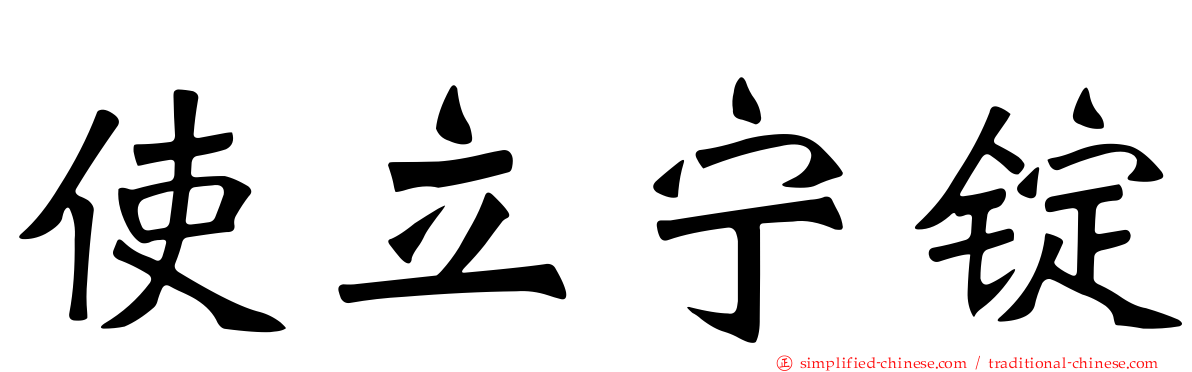 使立宁锭