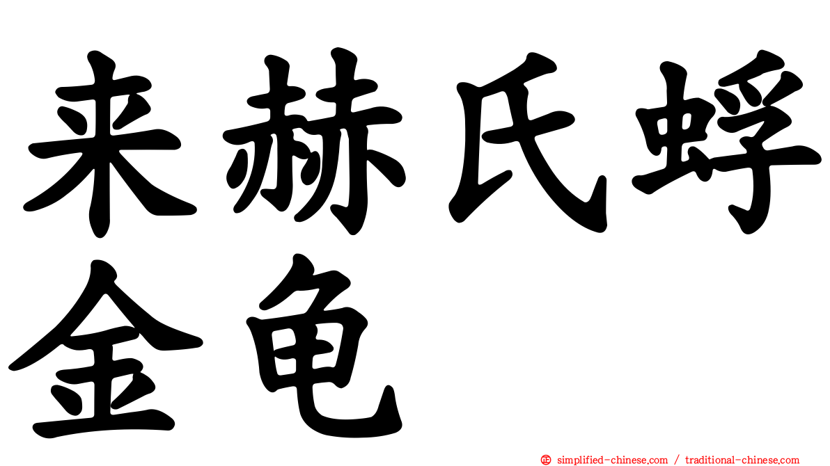 来赫氏蜉金龟