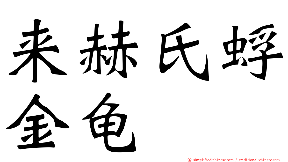 来赫氏蜉金龟