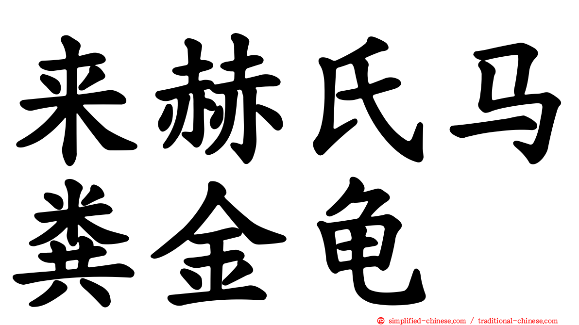 来赫氏马粪金龟