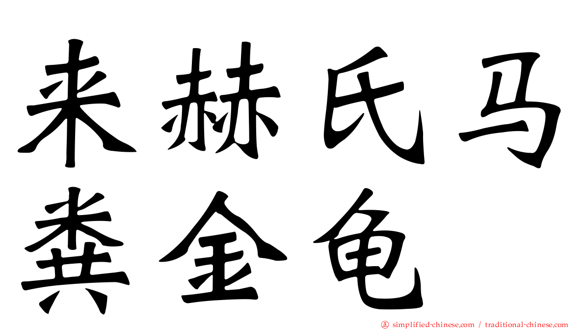 来赫氏马粪金龟