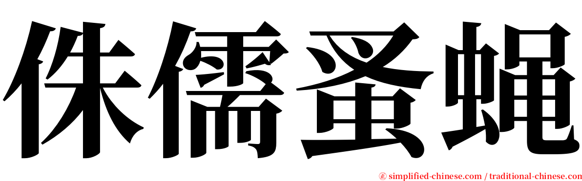 侏儒蚤蝇 serif font