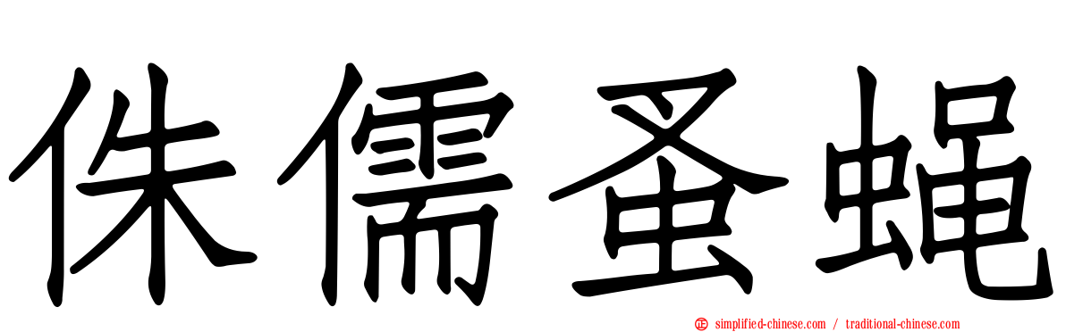 侏儒蚤蝇