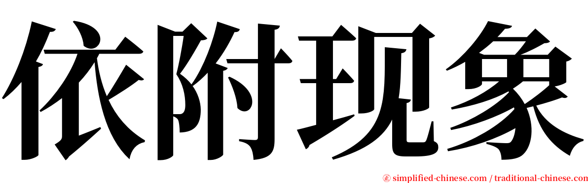 依附现象 serif font