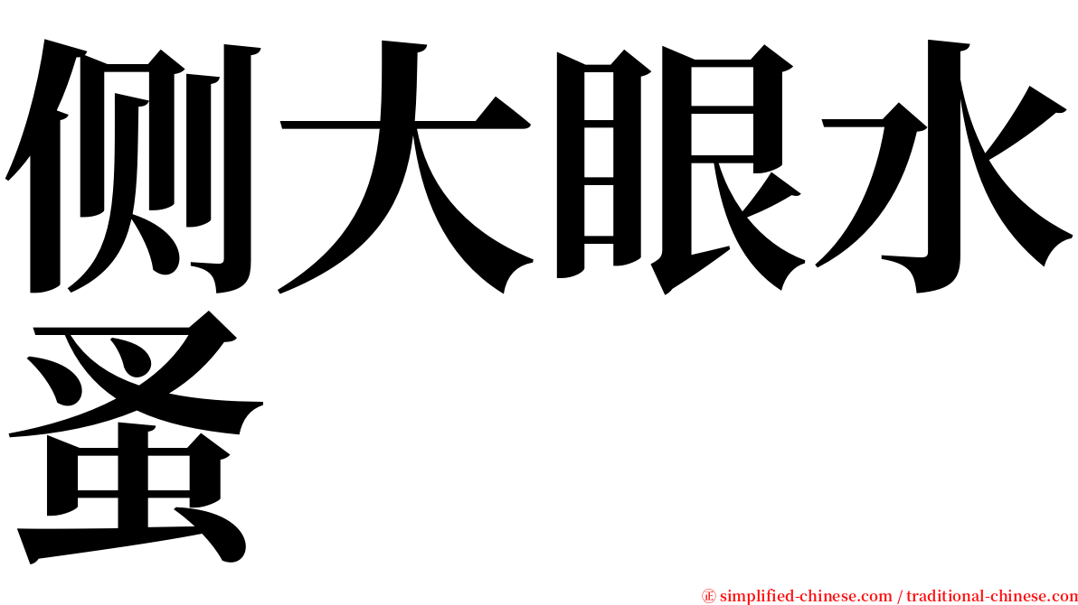 侧大眼水蚤 serif font