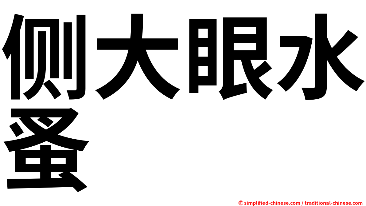 侧大眼水蚤
