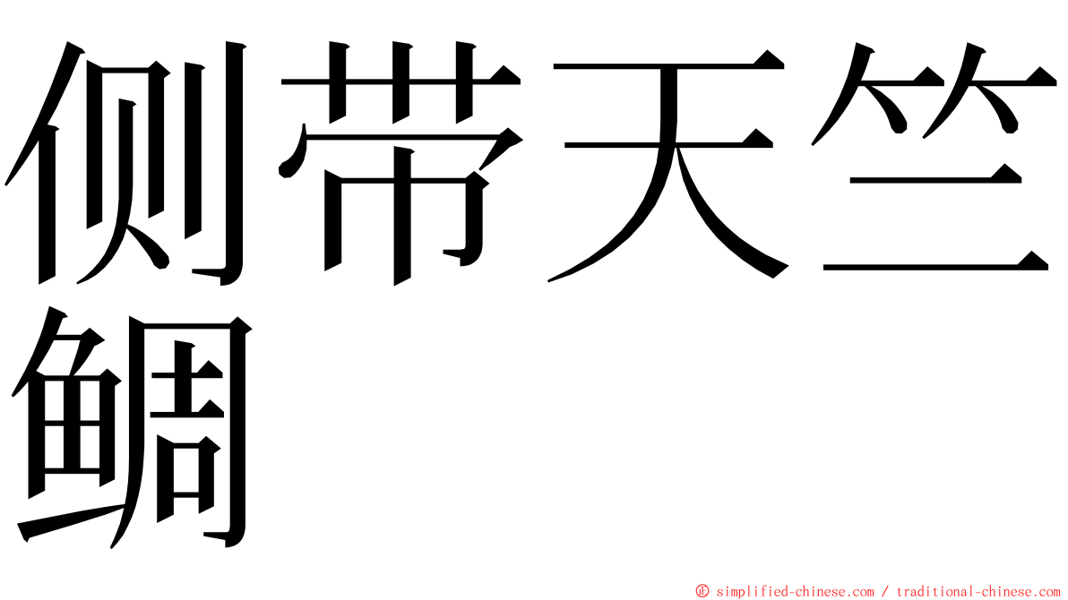 侧带天竺鲷 ming font