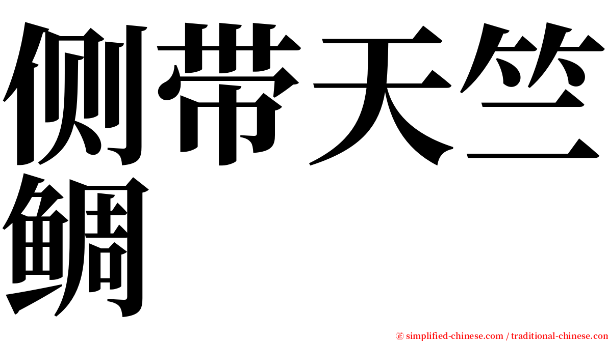 侧带天竺鲷 serif font