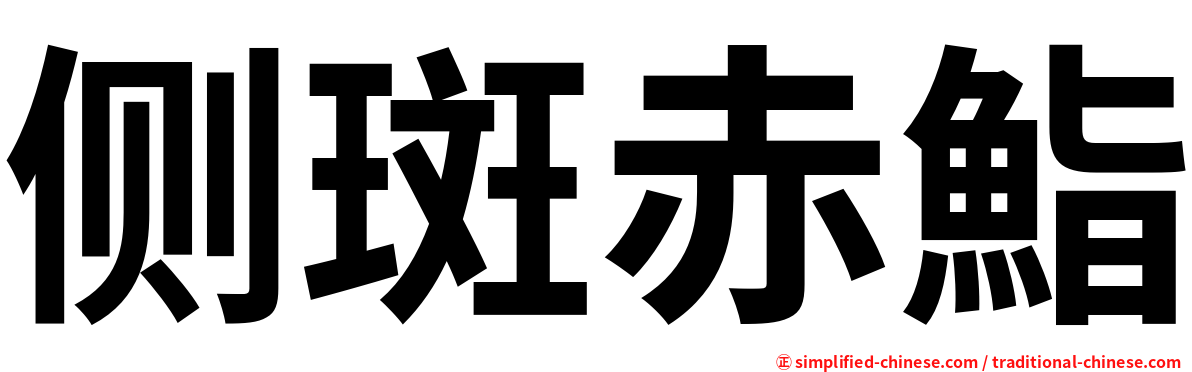 侧斑赤鮨