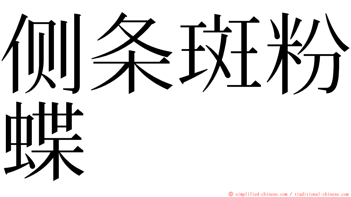 侧条斑粉蝶 ming font