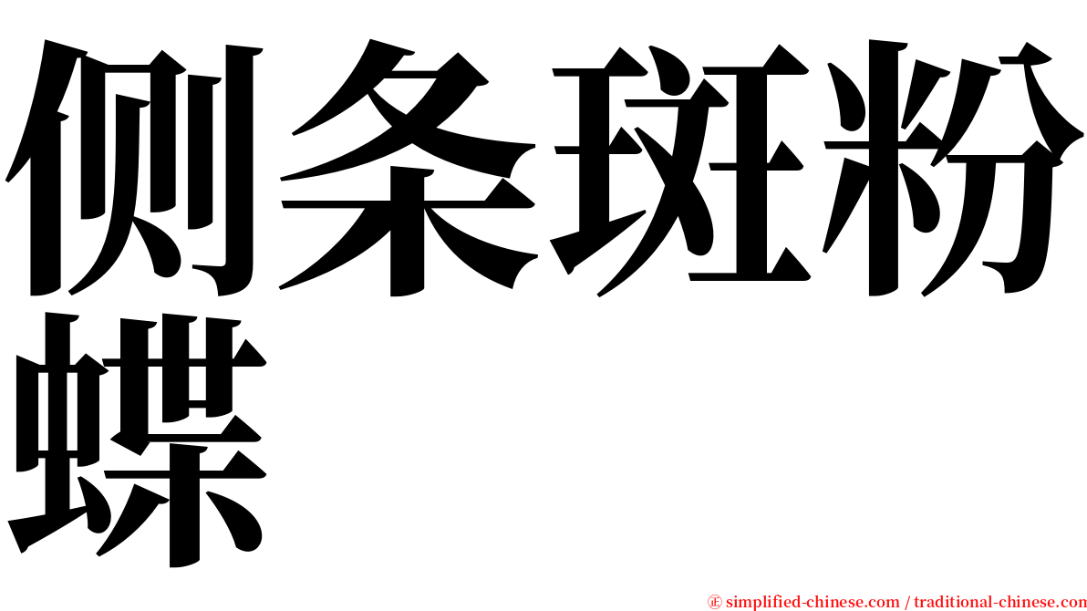 侧条斑粉蝶 serif font