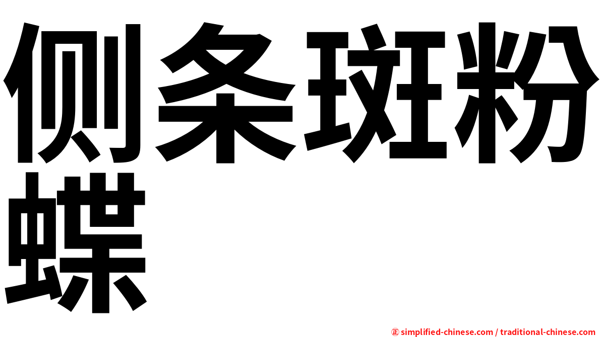 侧条斑粉蝶