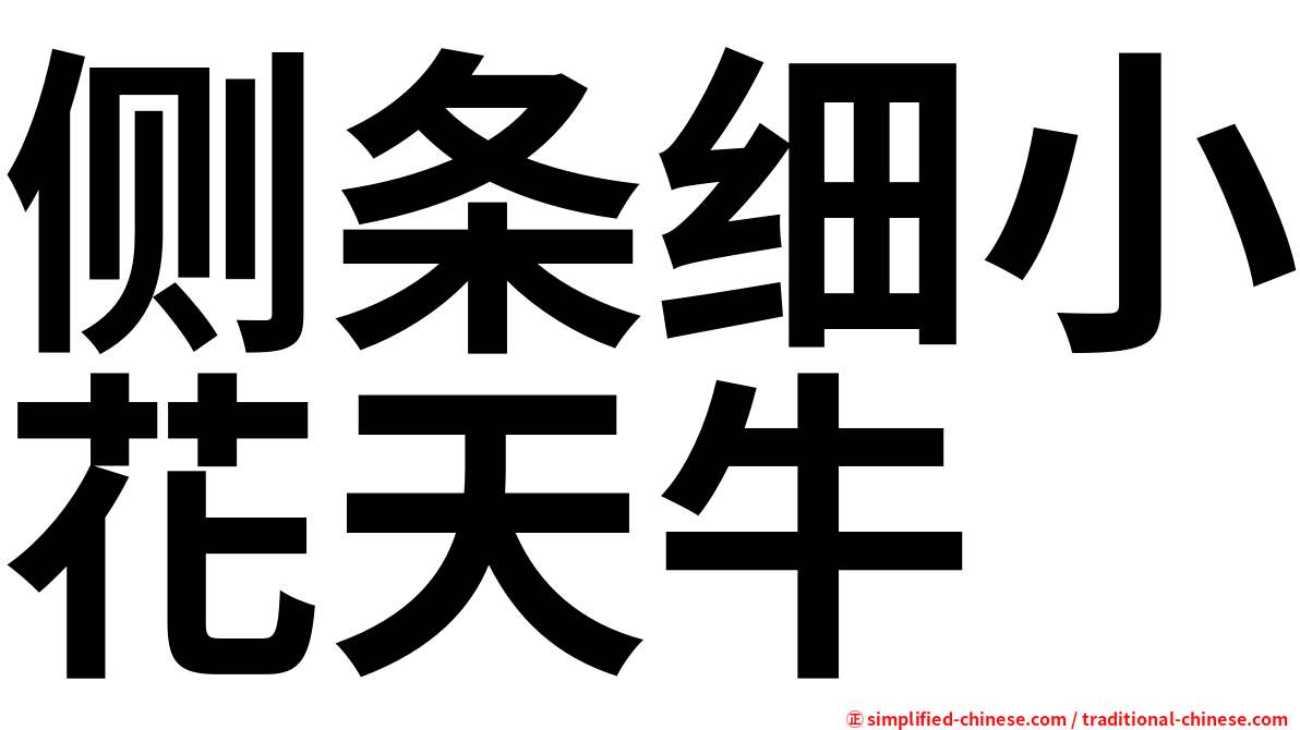 侧条细小花天牛