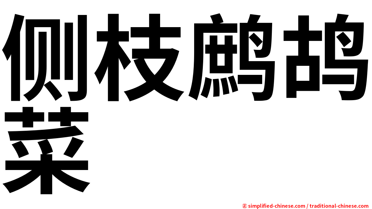 侧枝鹧鸪菜