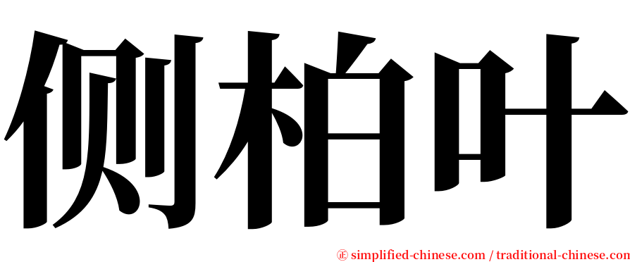 侧柏叶 serif font