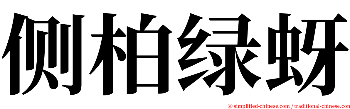 侧柏绿蚜 serif font