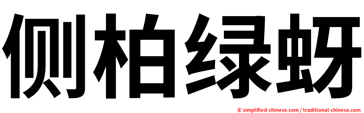 侧柏绿蚜