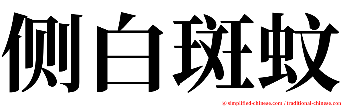 侧白斑蚊 serif font