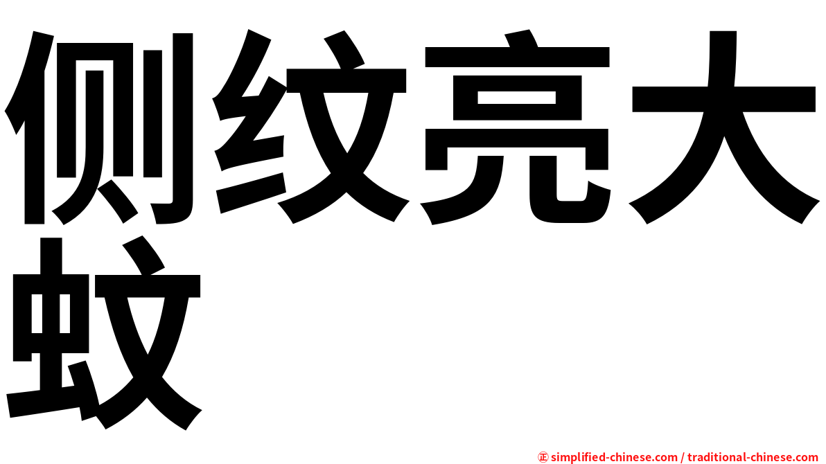 侧纹亮大蚊