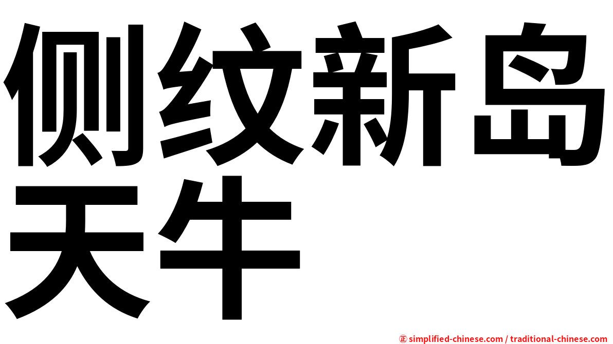 侧纹新岛天牛