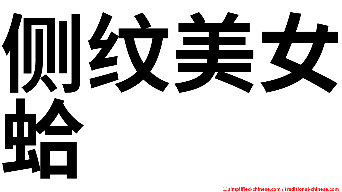 侧纹美女蛤