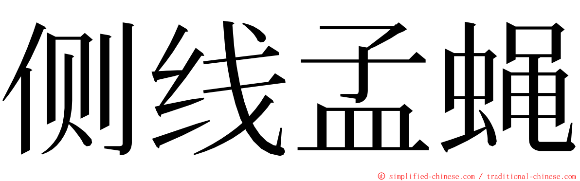 侧线孟蝇 ming font