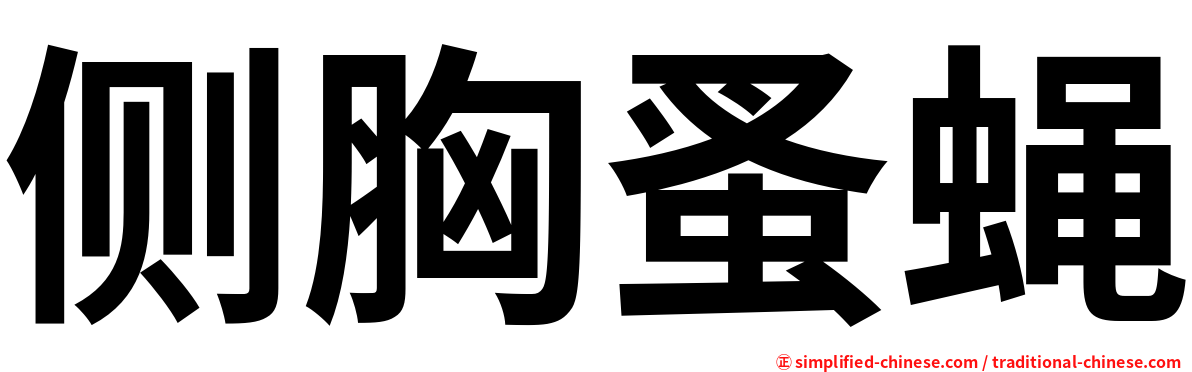 侧胸蚤蝇