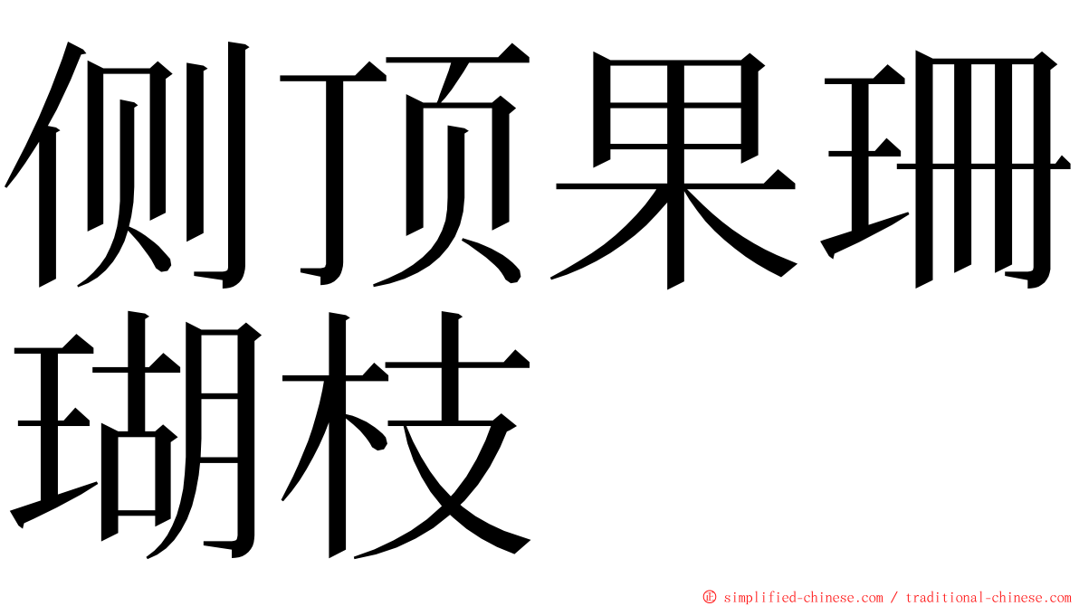 侧顶果珊瑚枝 ming font