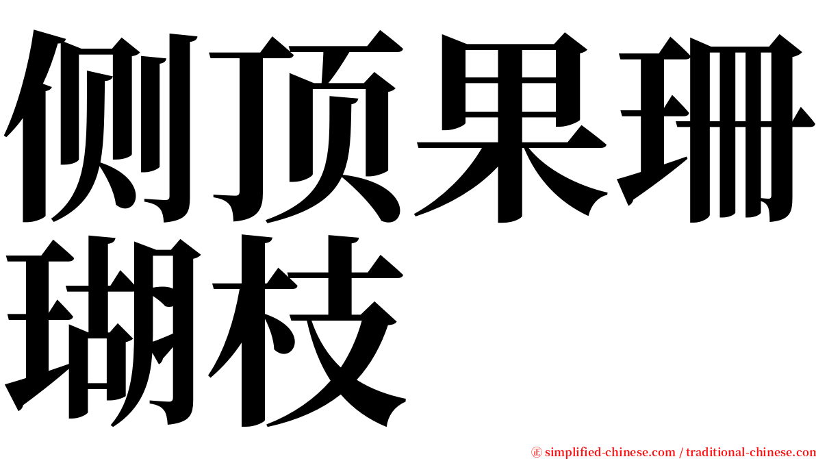 侧顶果珊瑚枝 serif font