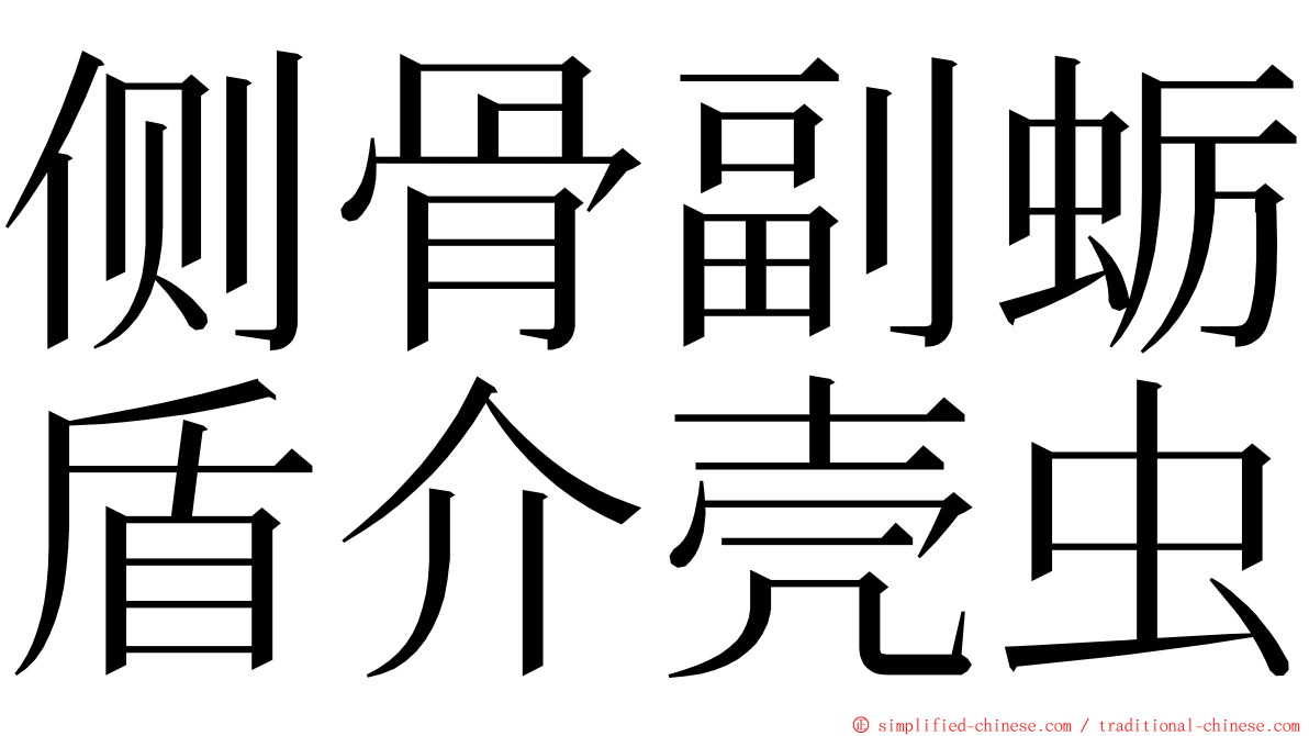 侧骨副蛎盾介壳虫 ming font
