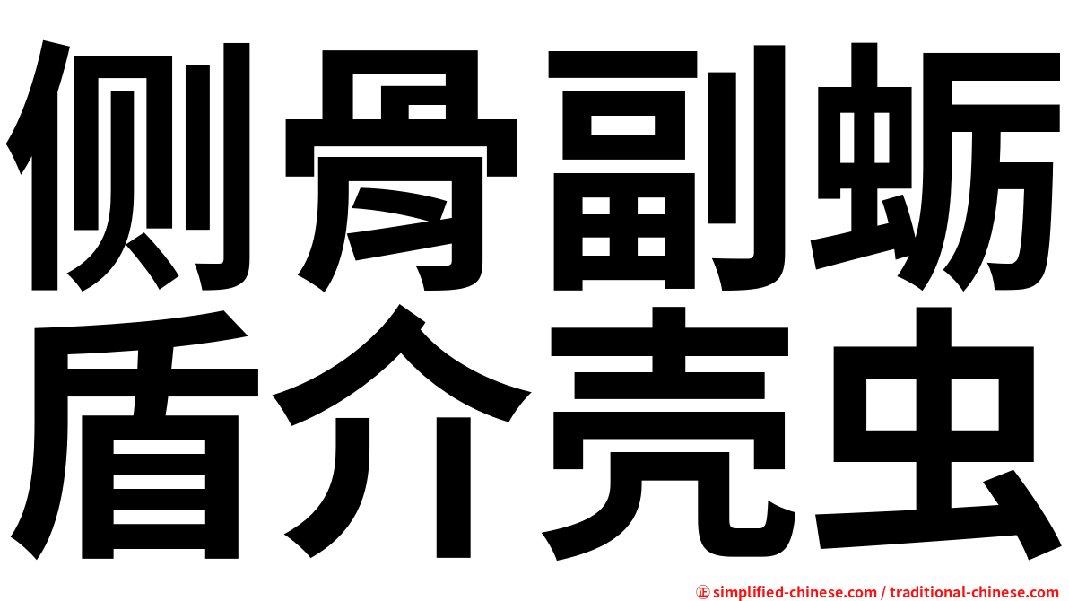 侧骨副蛎盾介壳虫