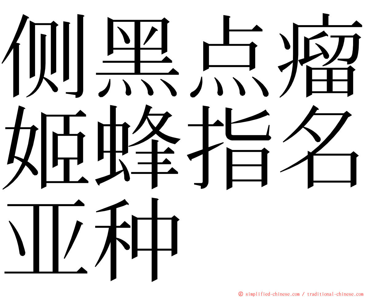 侧黑点瘤姬蜂指名亚种 ming font