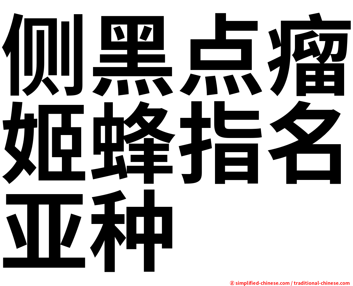 侧黑点瘤姬蜂指名亚种